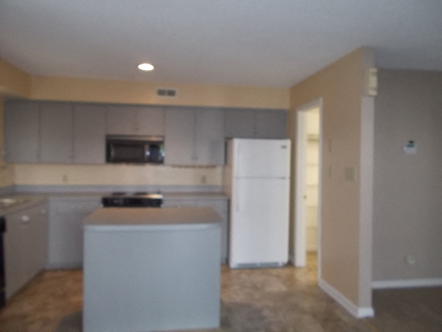 Gallery Photo 5