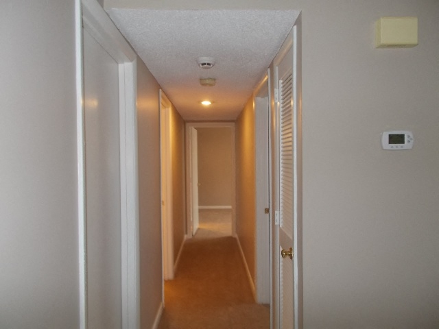 Gallery Photo 8