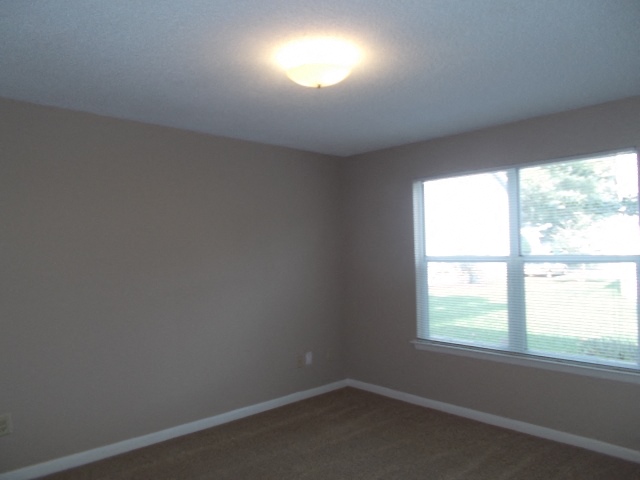 Gallery Photo 9