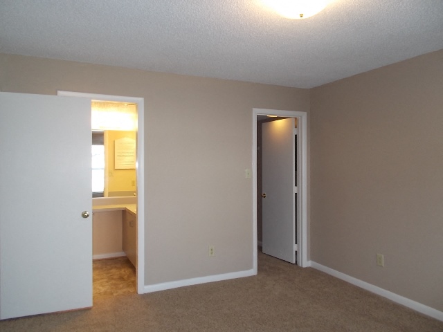 Gallery Photo 10