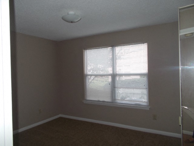 Gallery Photo 13