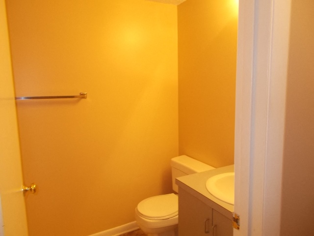 Gallery Photo 16