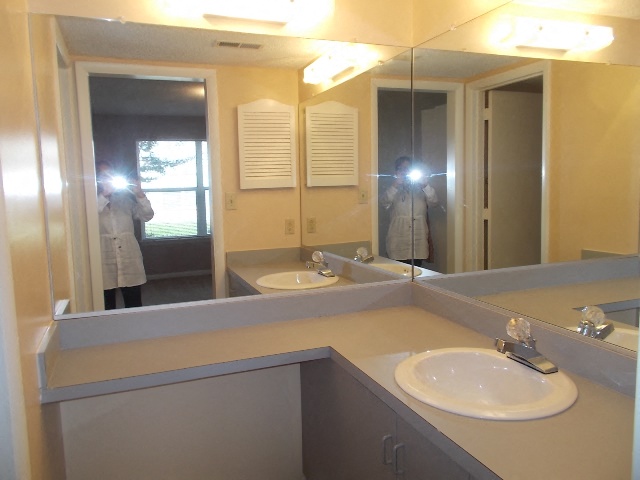 Gallery Photo 11