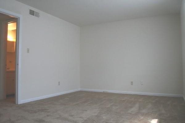 Gallery Photo 6