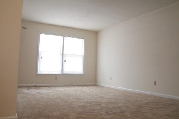 Gallery Photo 5
