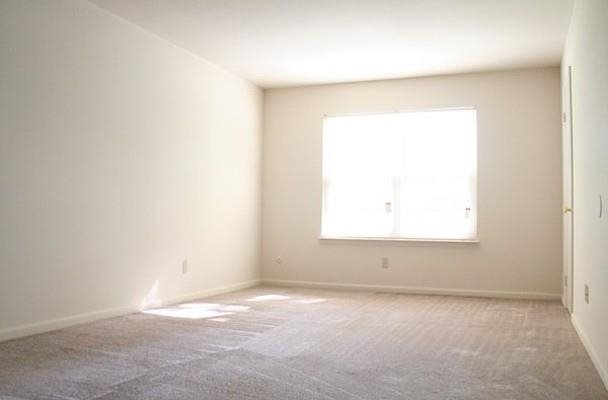 Gallery Photo 21