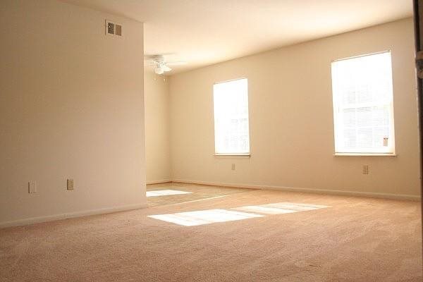 Gallery Photo 14
