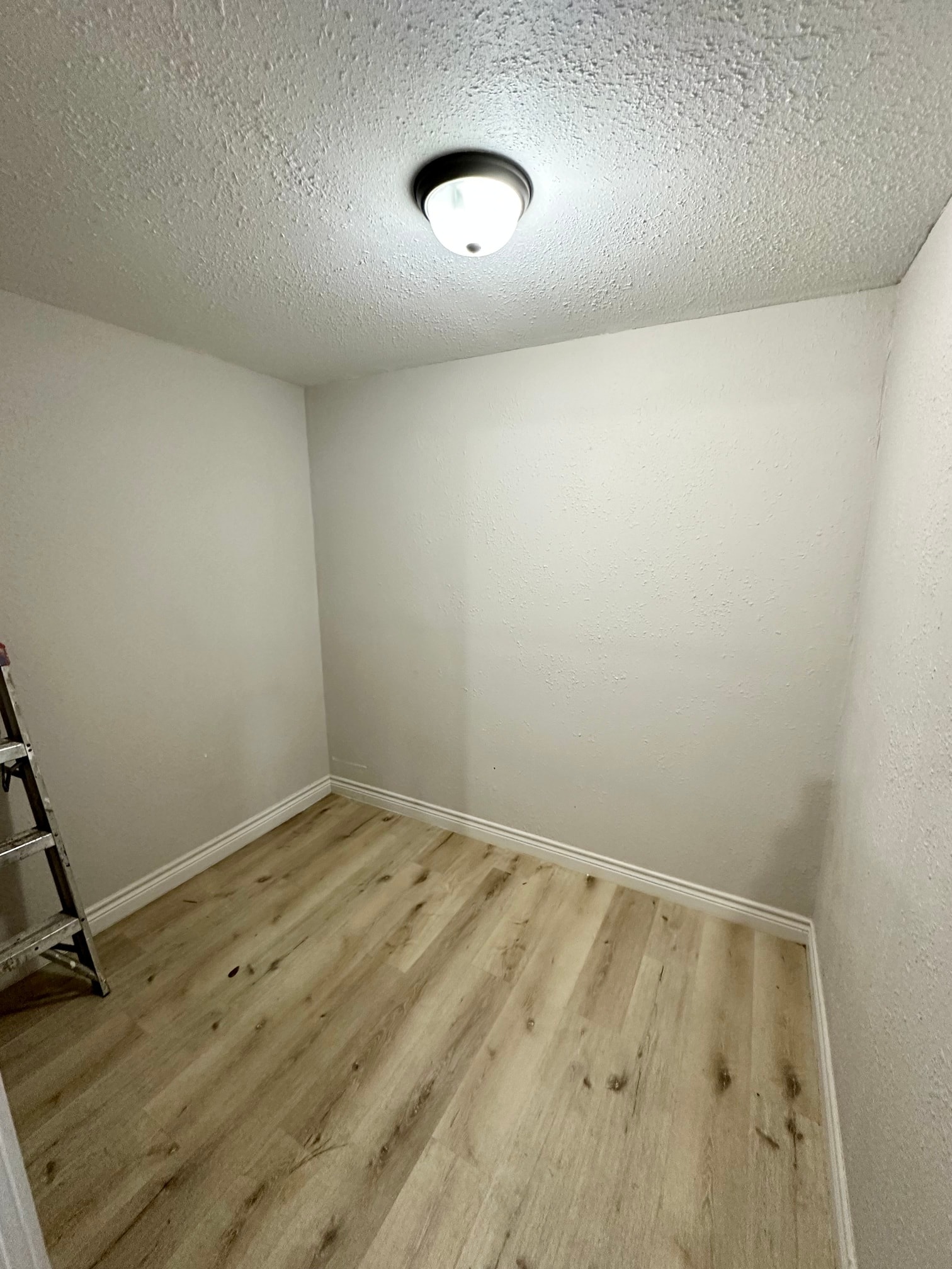 Gallery Photo 4