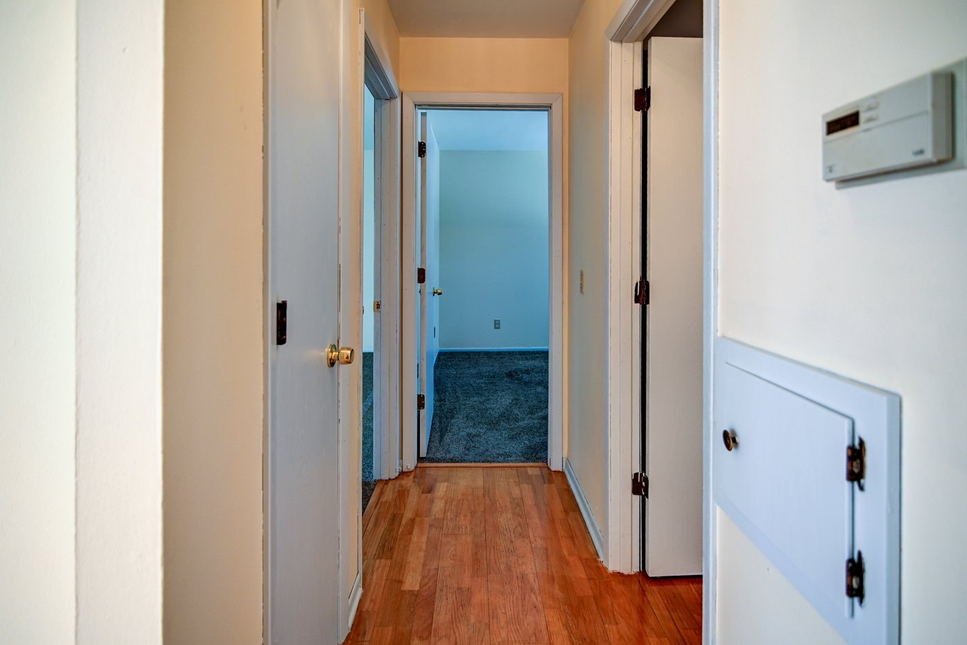 Gallery Photo 4