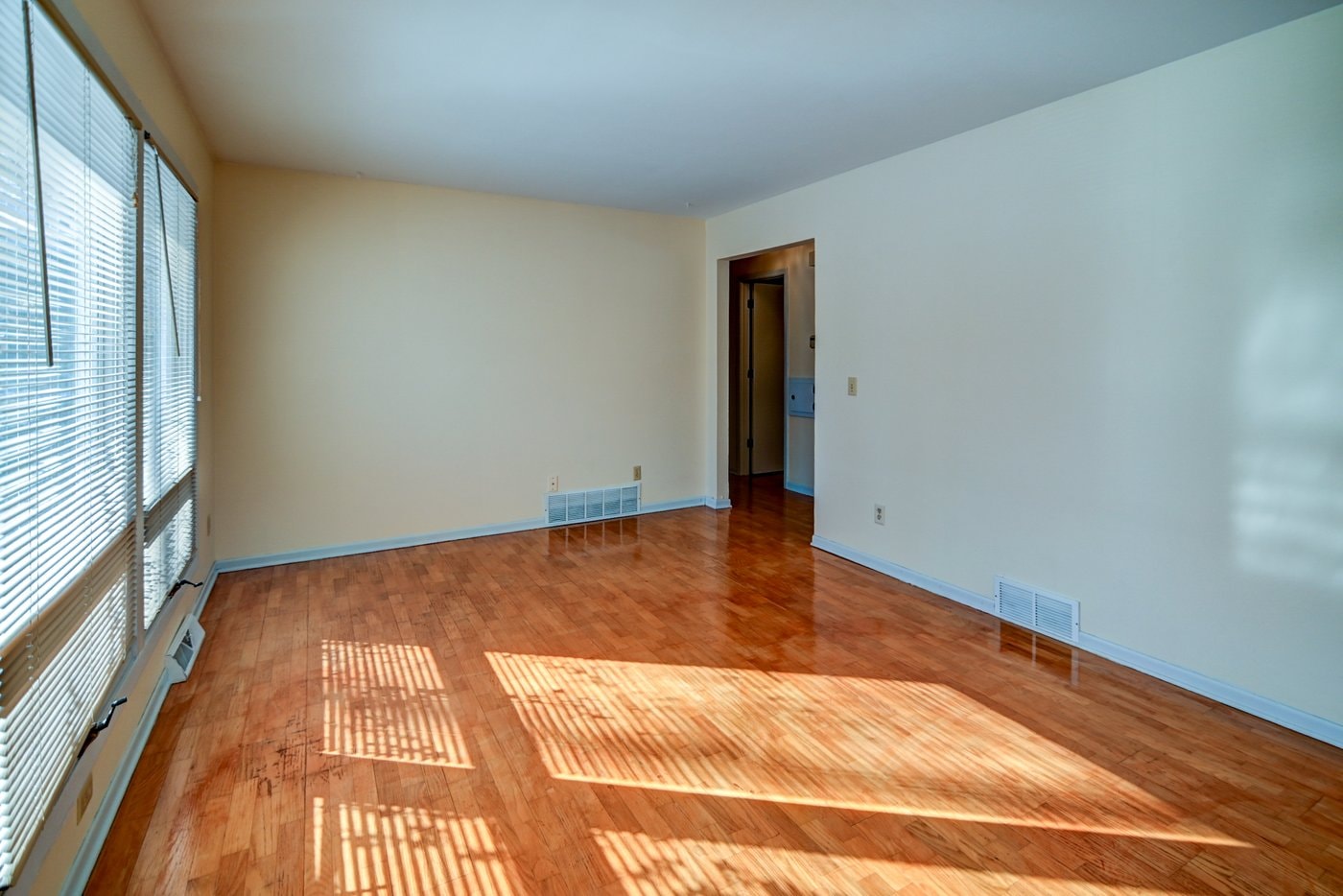 Gallery Photo 6