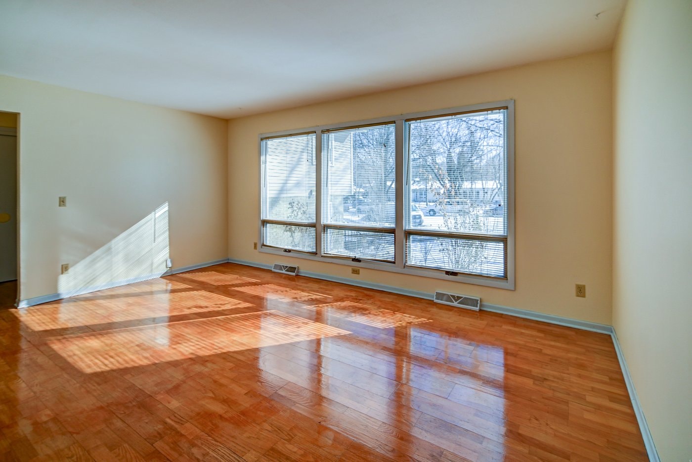 Gallery Photo 10