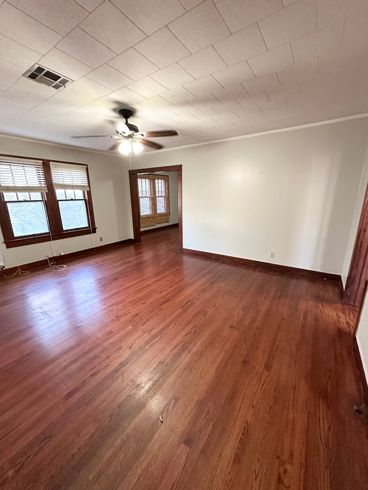 Gallery Photo 4