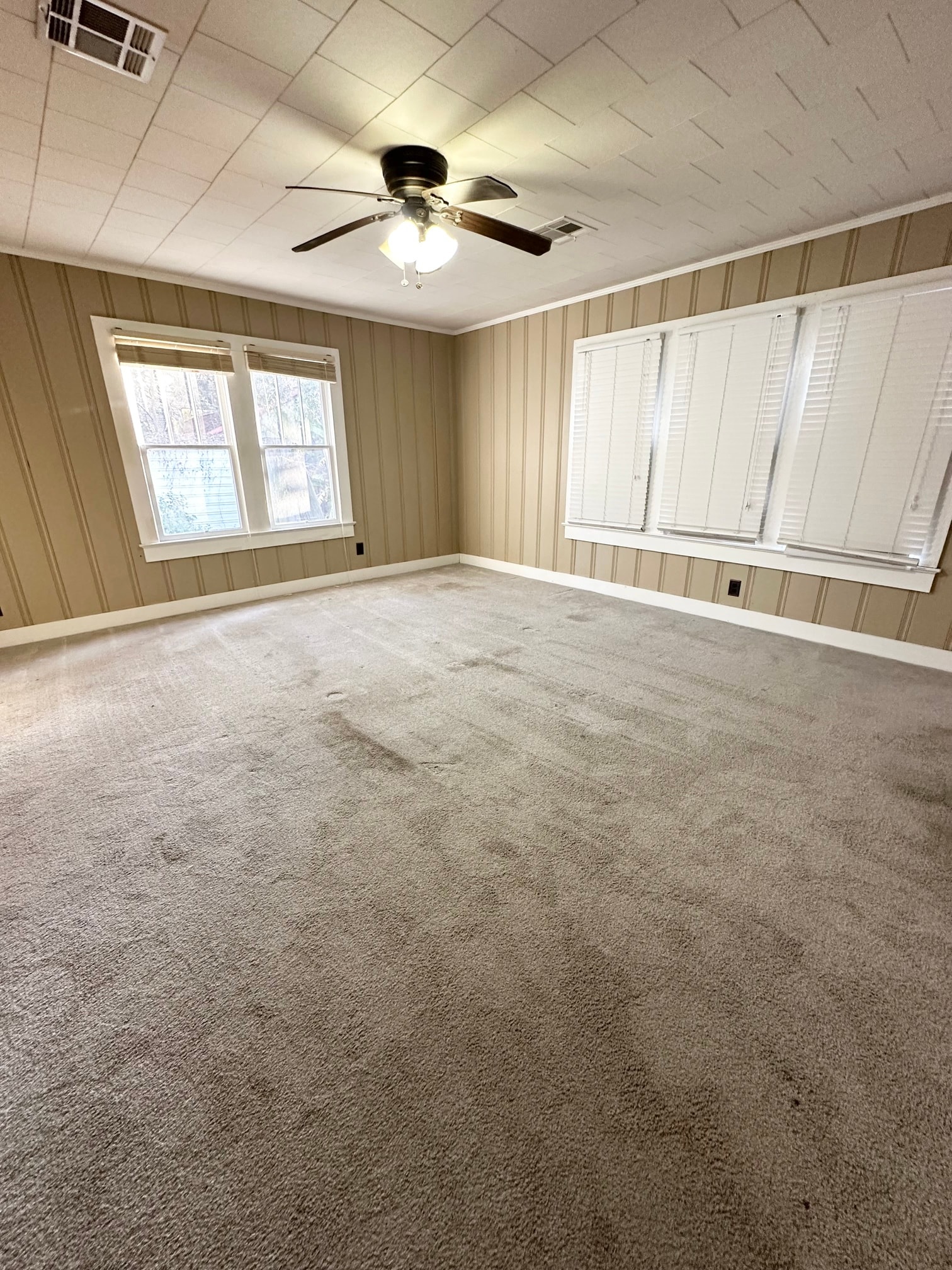 Gallery Photo 11