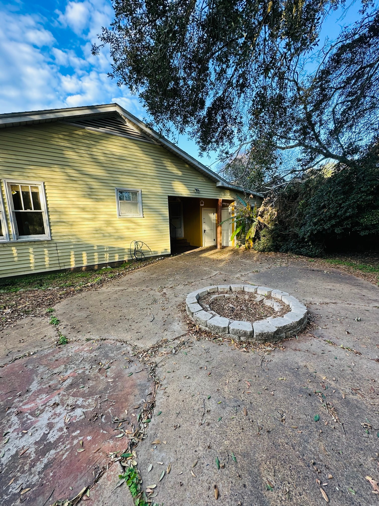 Gallery Photo 13