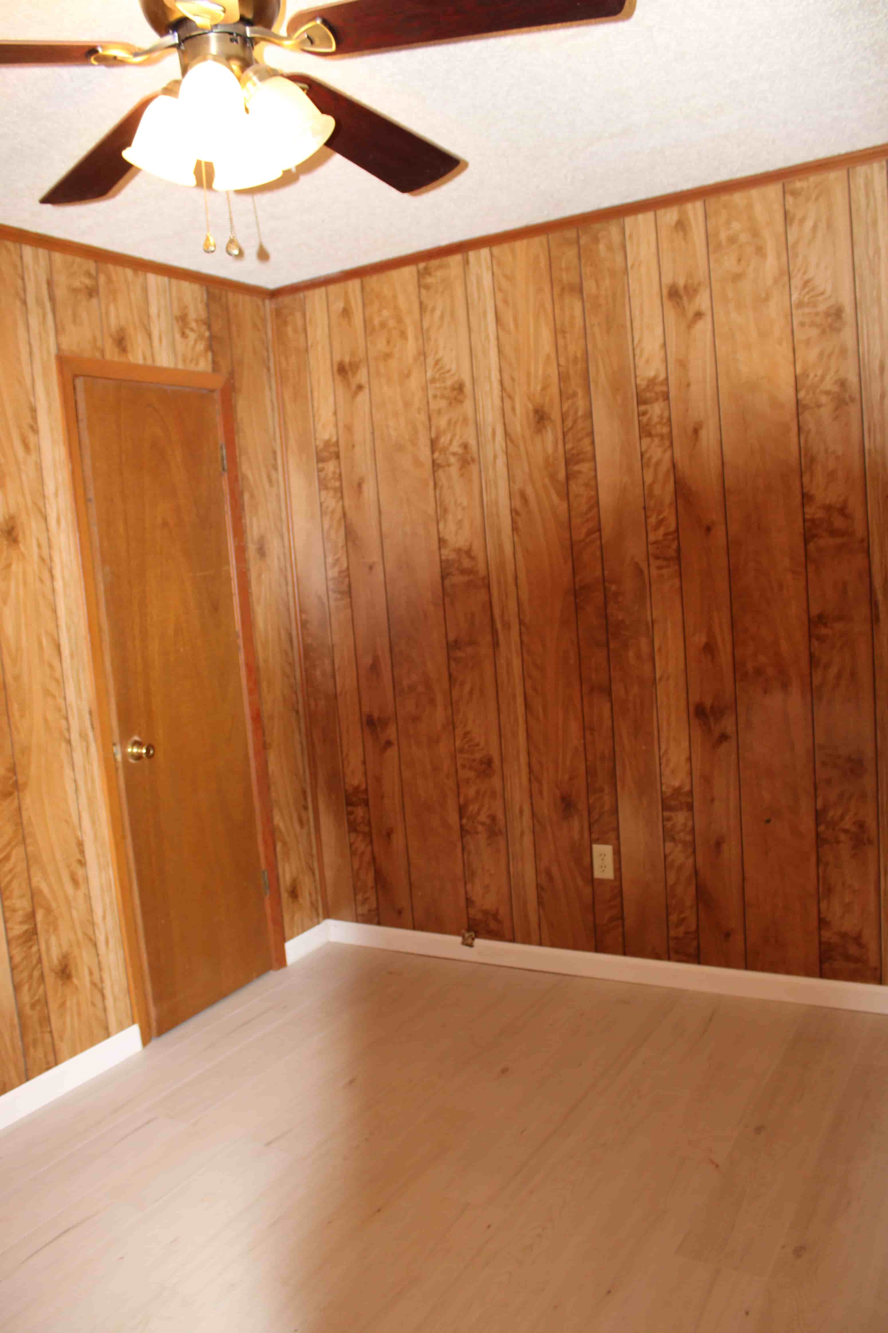 Gallery Photo 13