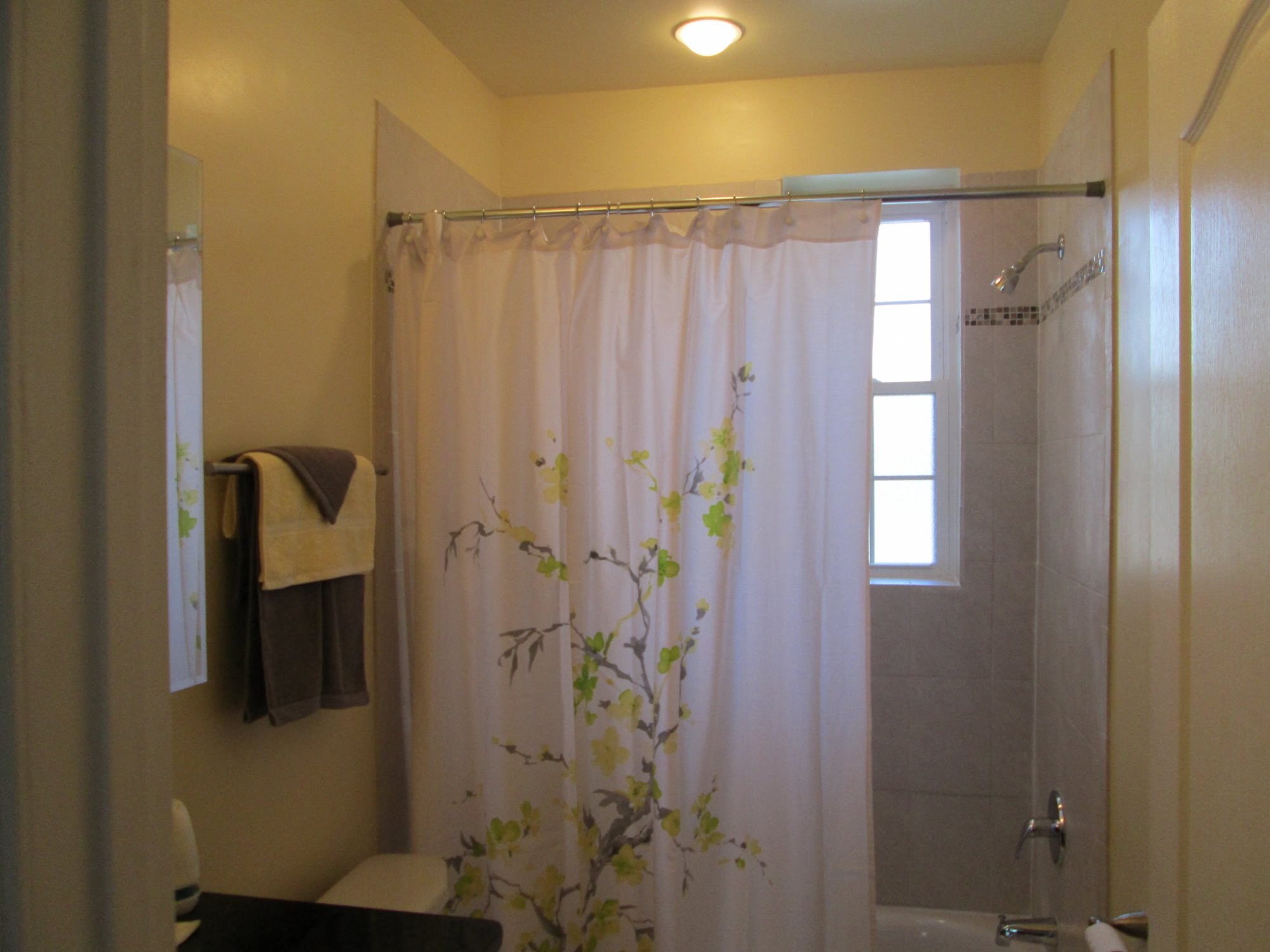 Gallery Photo 5