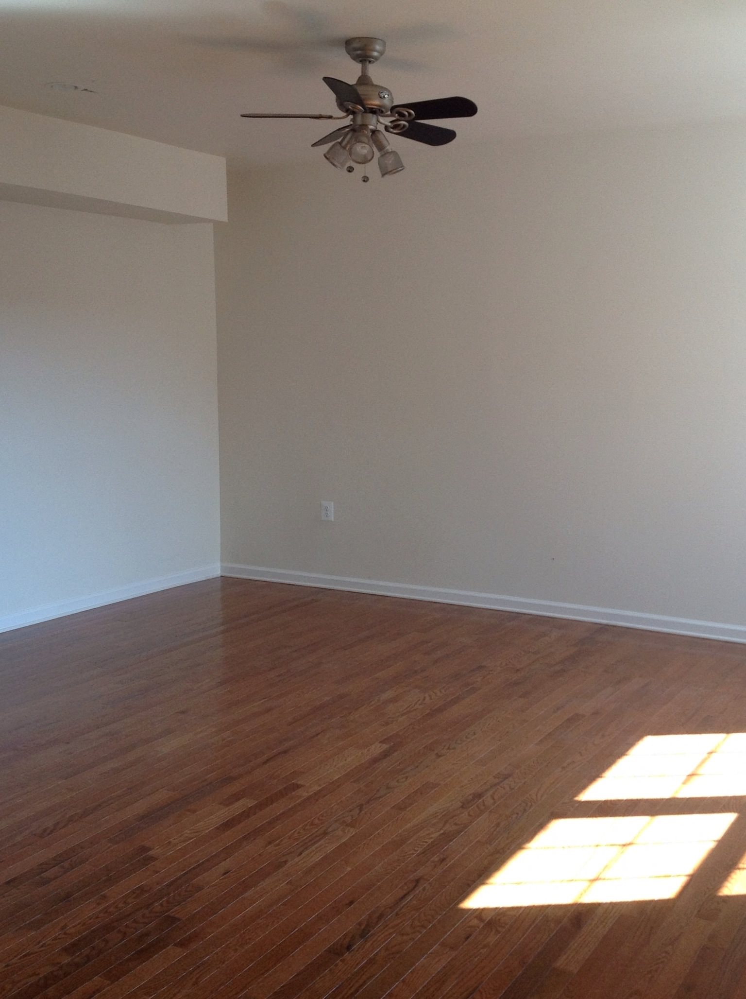 Gallery Photo 12