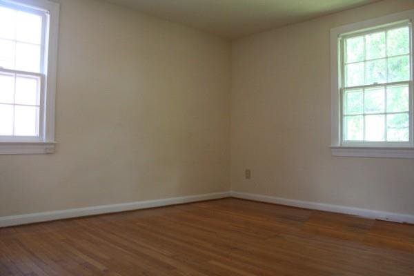 Gallery Photo 8