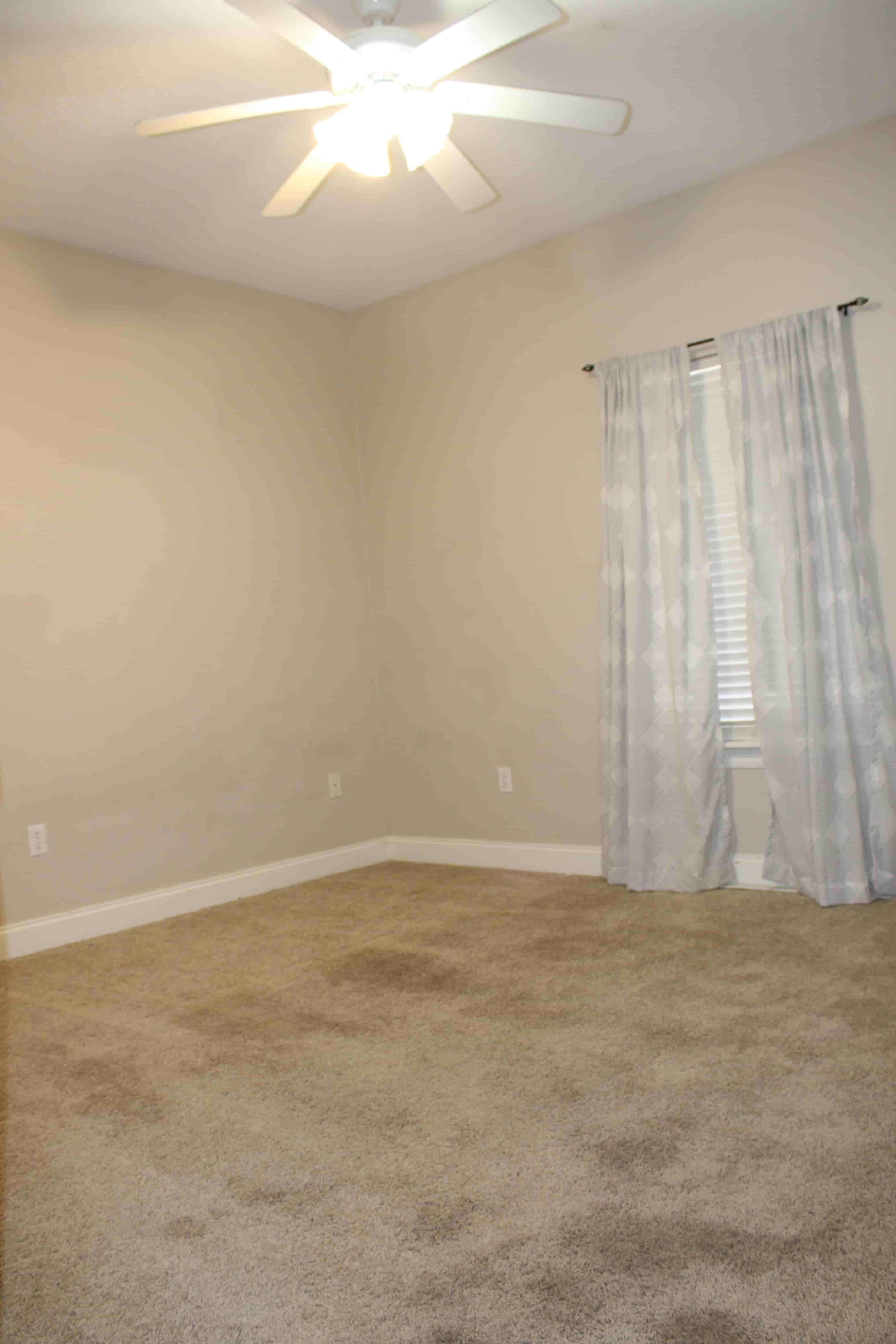 Gallery Photo 13
