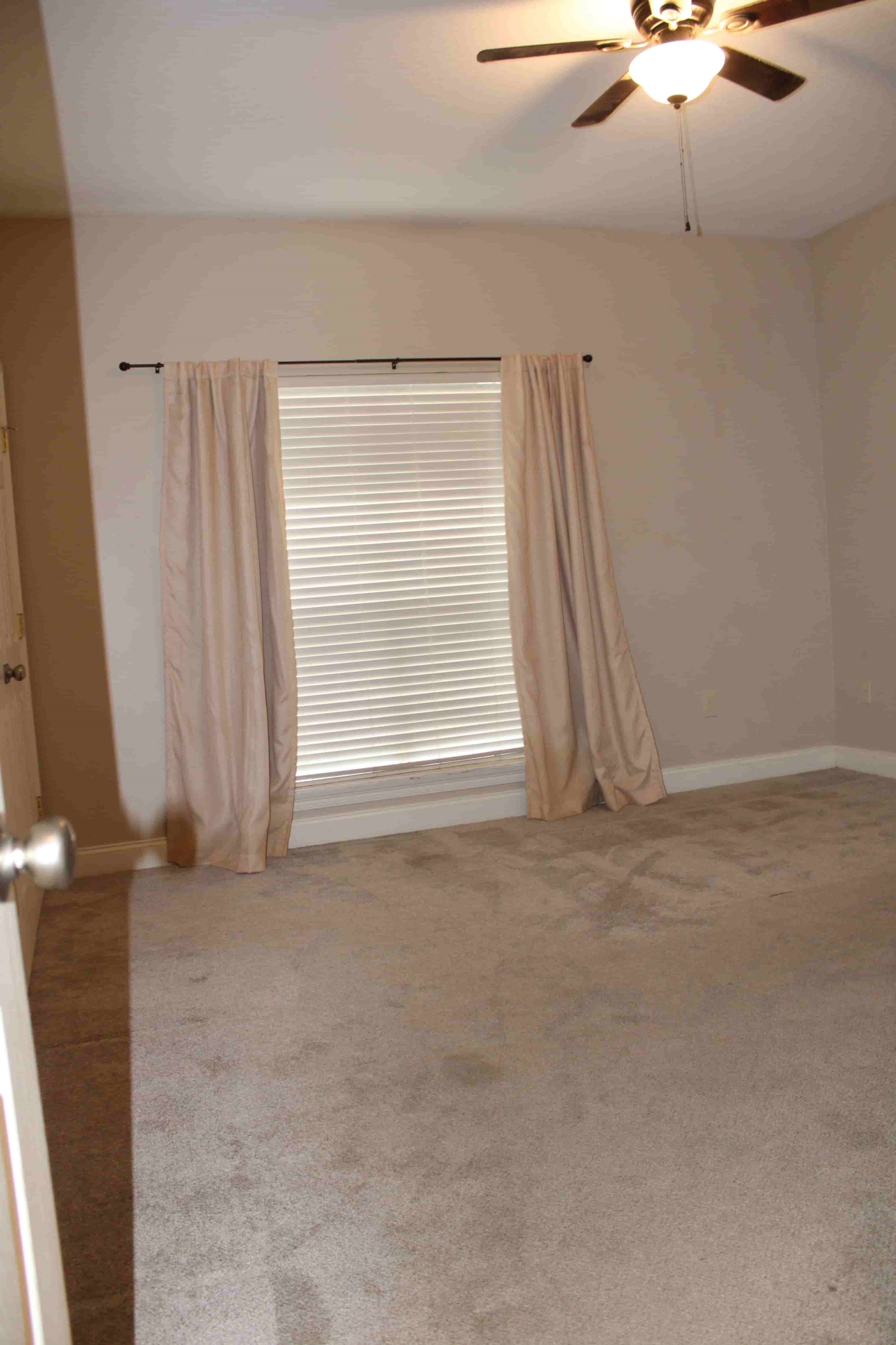 Gallery Photo 12