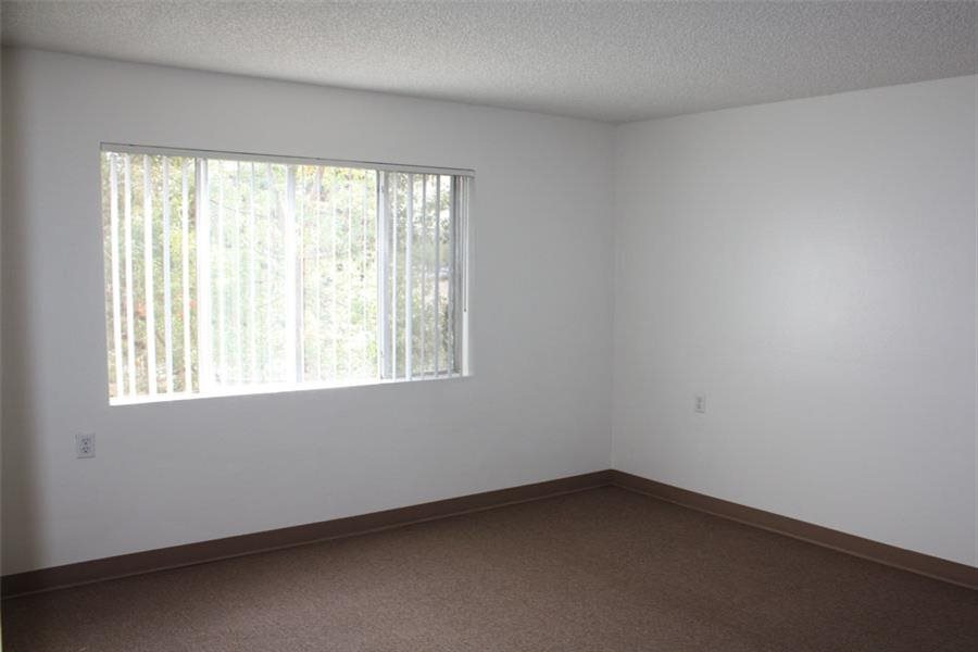 Gallery Photo 19