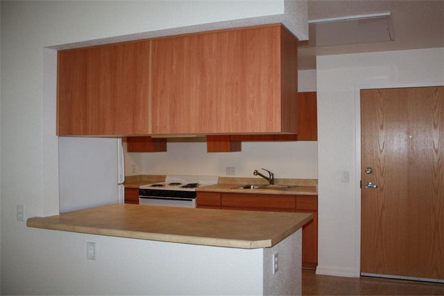 Gallery Photo 9