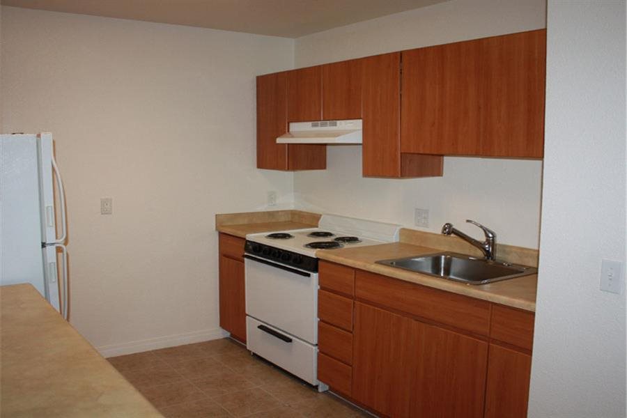 Gallery Photo 11