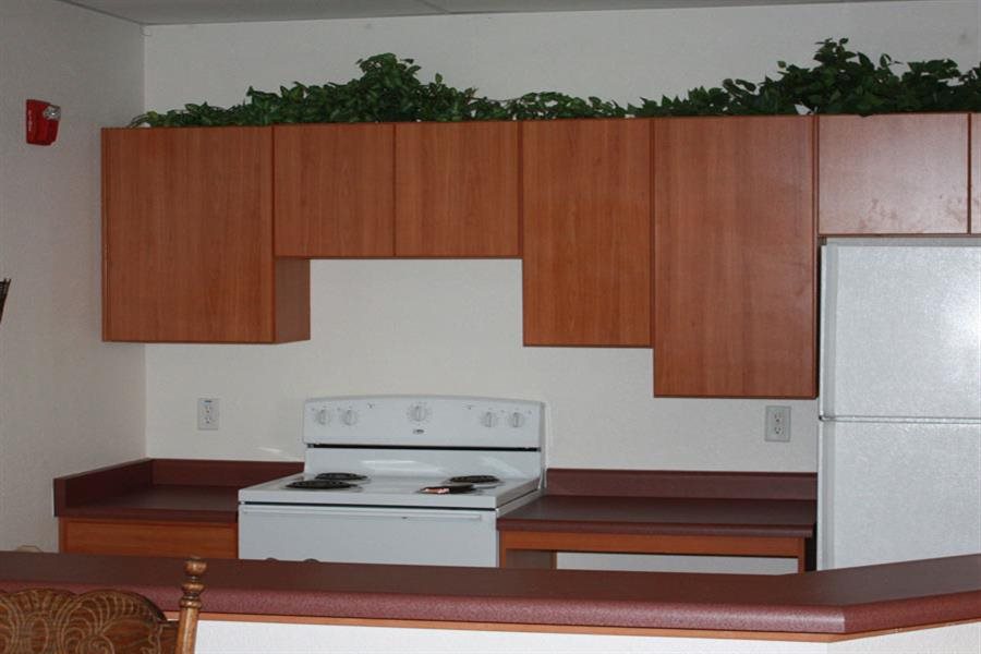 Gallery Photo 12
