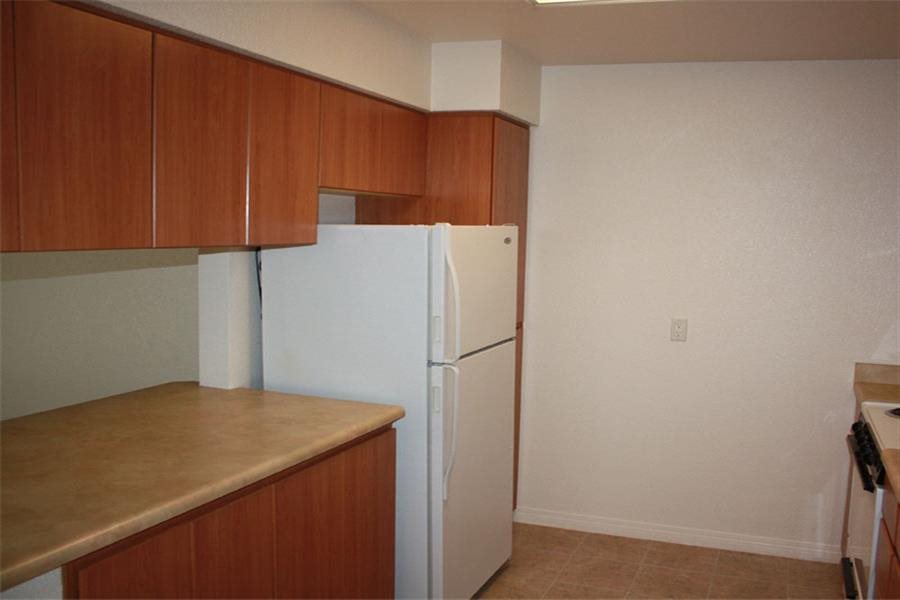 Gallery Photo 13