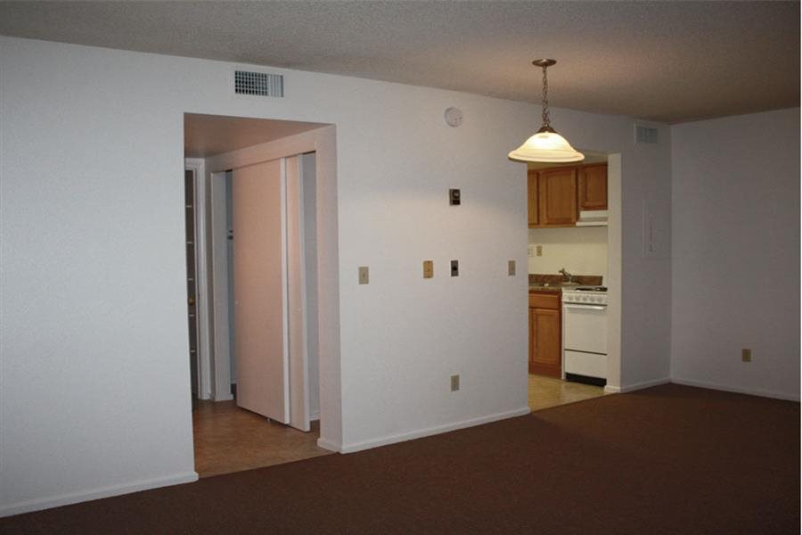 Gallery Photo 10