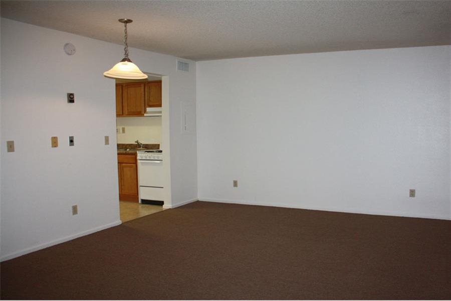 Gallery Photo 11