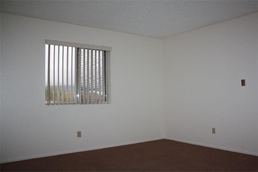 Gallery Photo 16