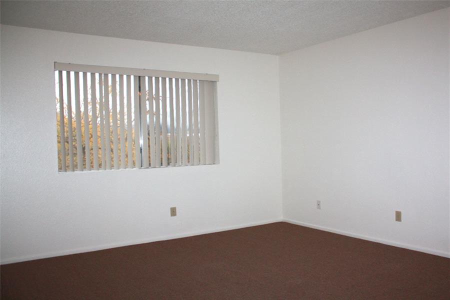 Gallery Photo 17