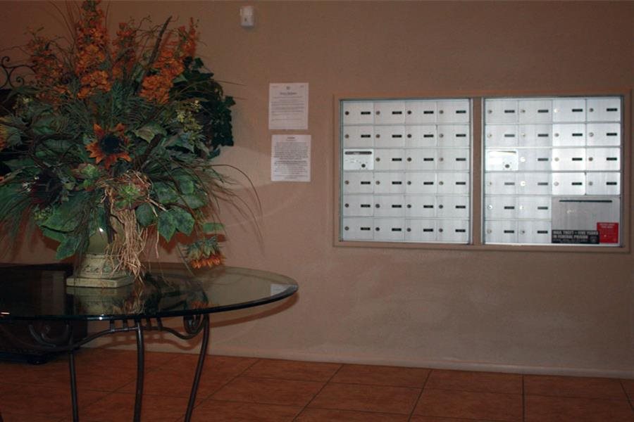 Gallery Photo 5