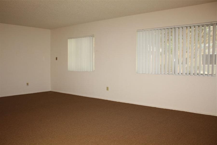 Gallery Photo 7