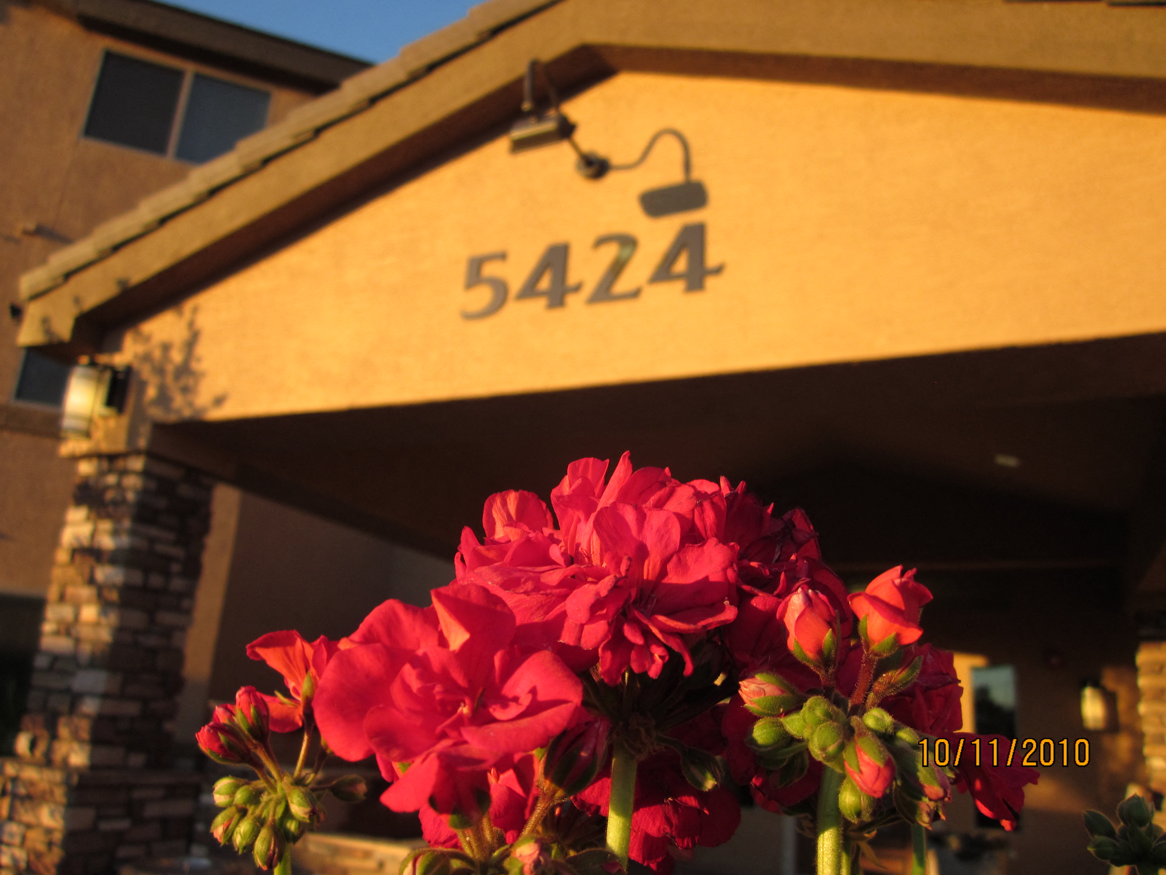 Photos and Video of Itom A'e Apts. in Guadalupe, AZ