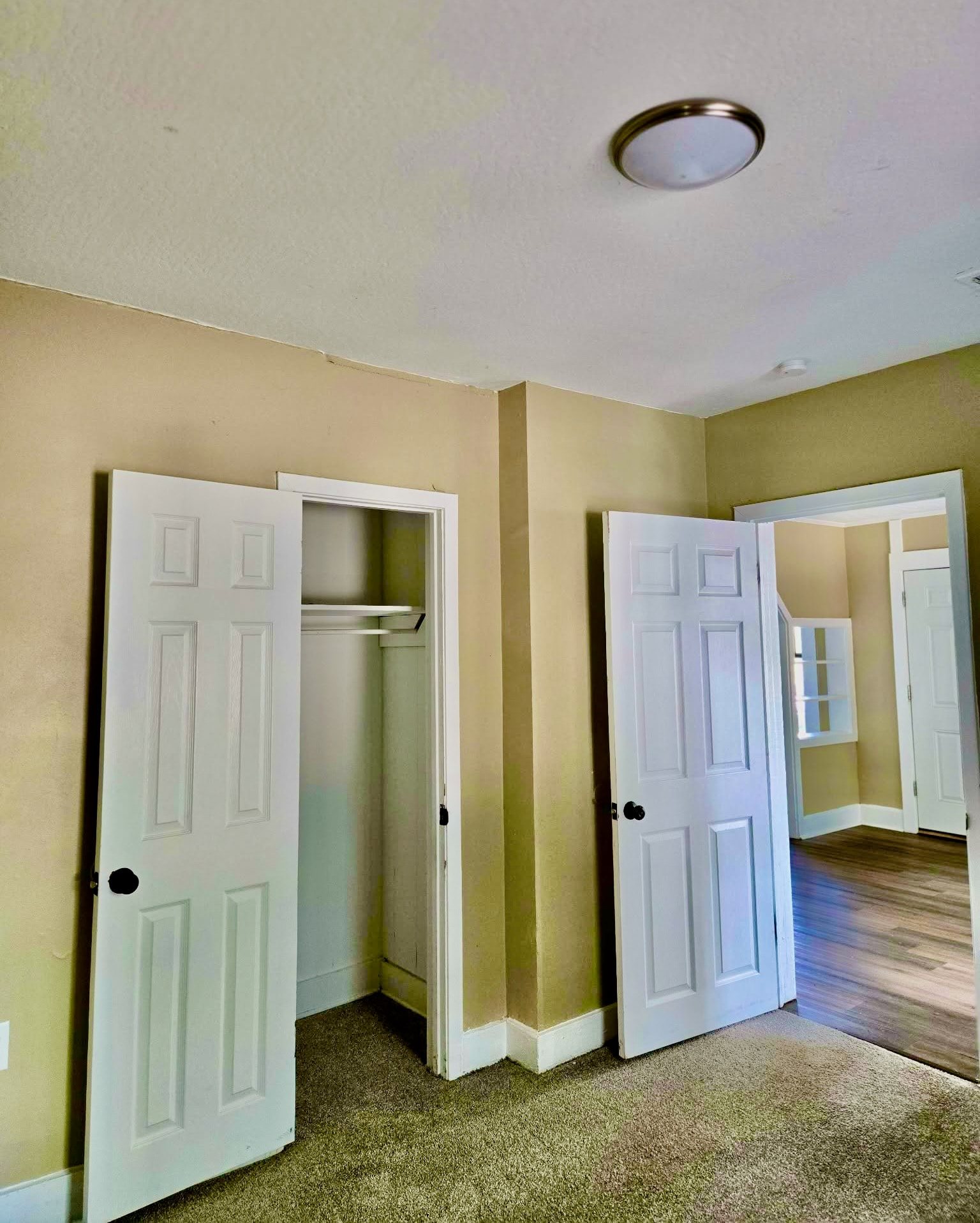 Gallery Photo 6
