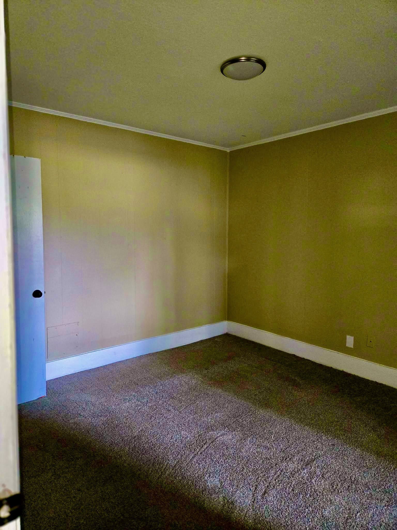 Gallery Photo 8