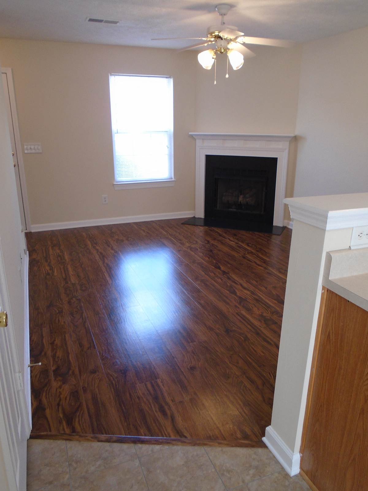 Gallery Photo 14