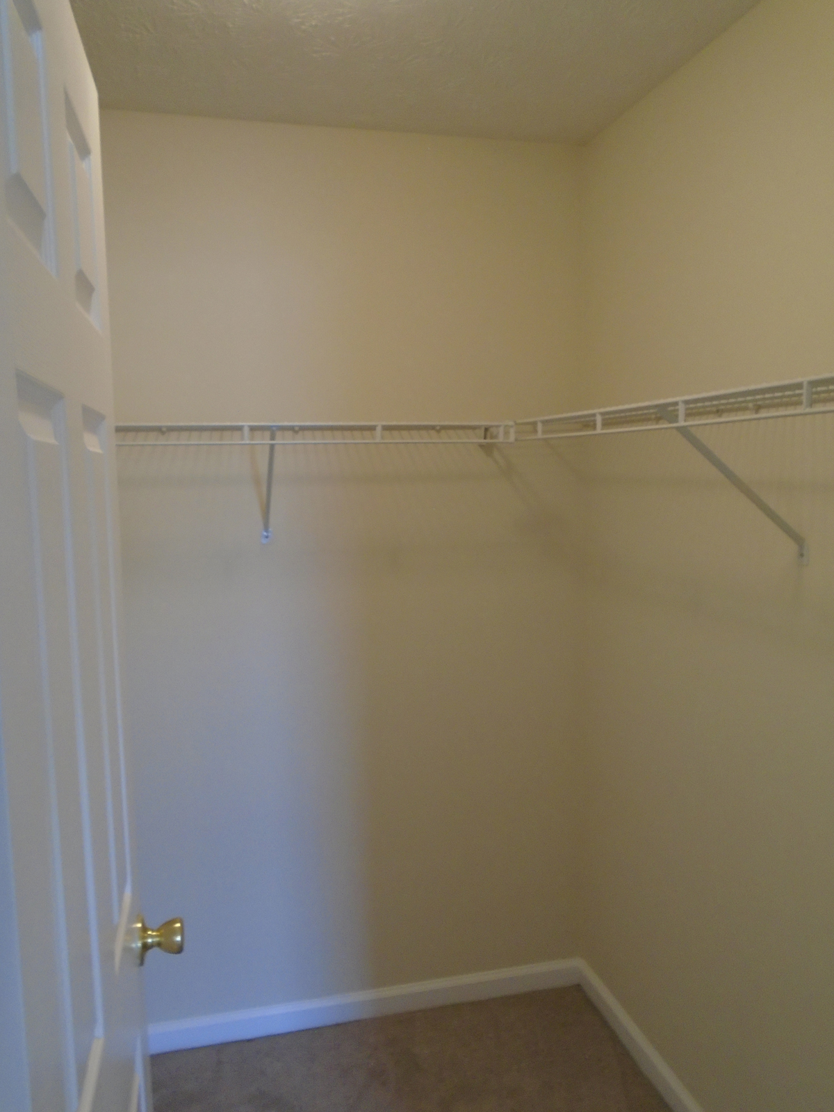 Gallery Photo 17