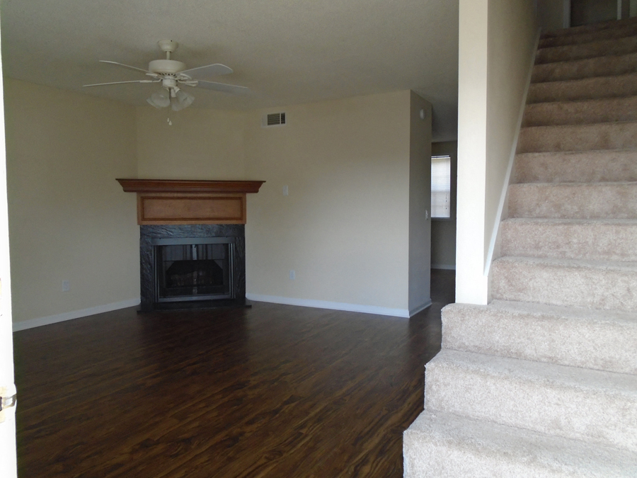 Gallery Photo 6