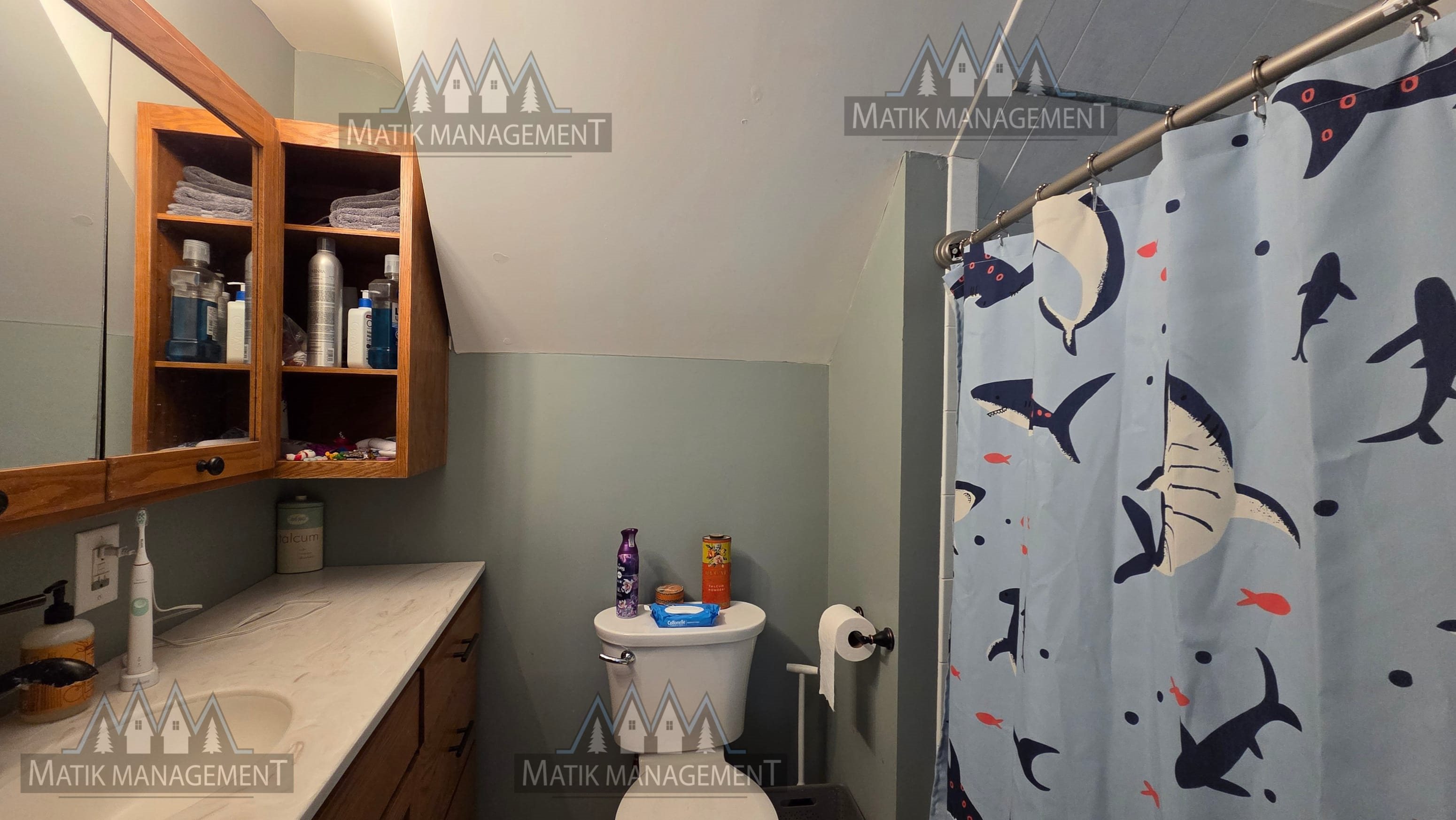 Gallery Photo 6