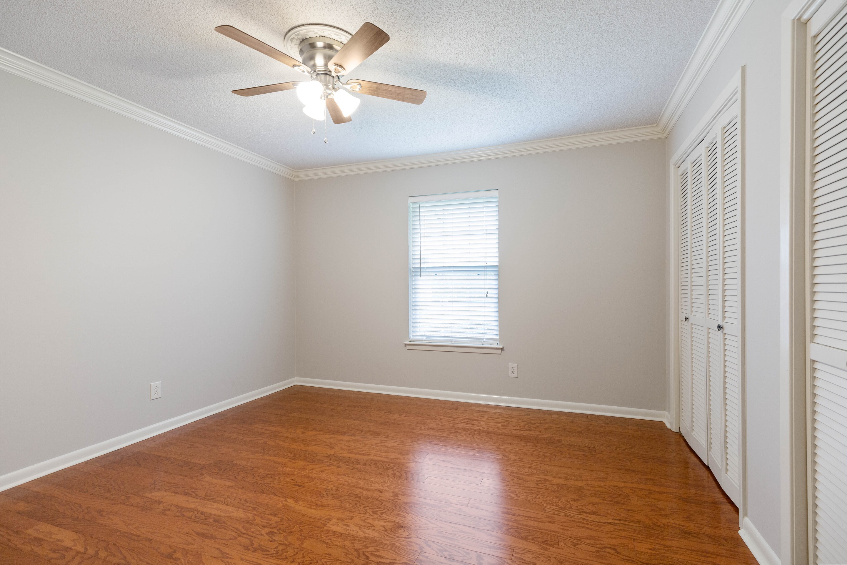 Gallery Photo 11