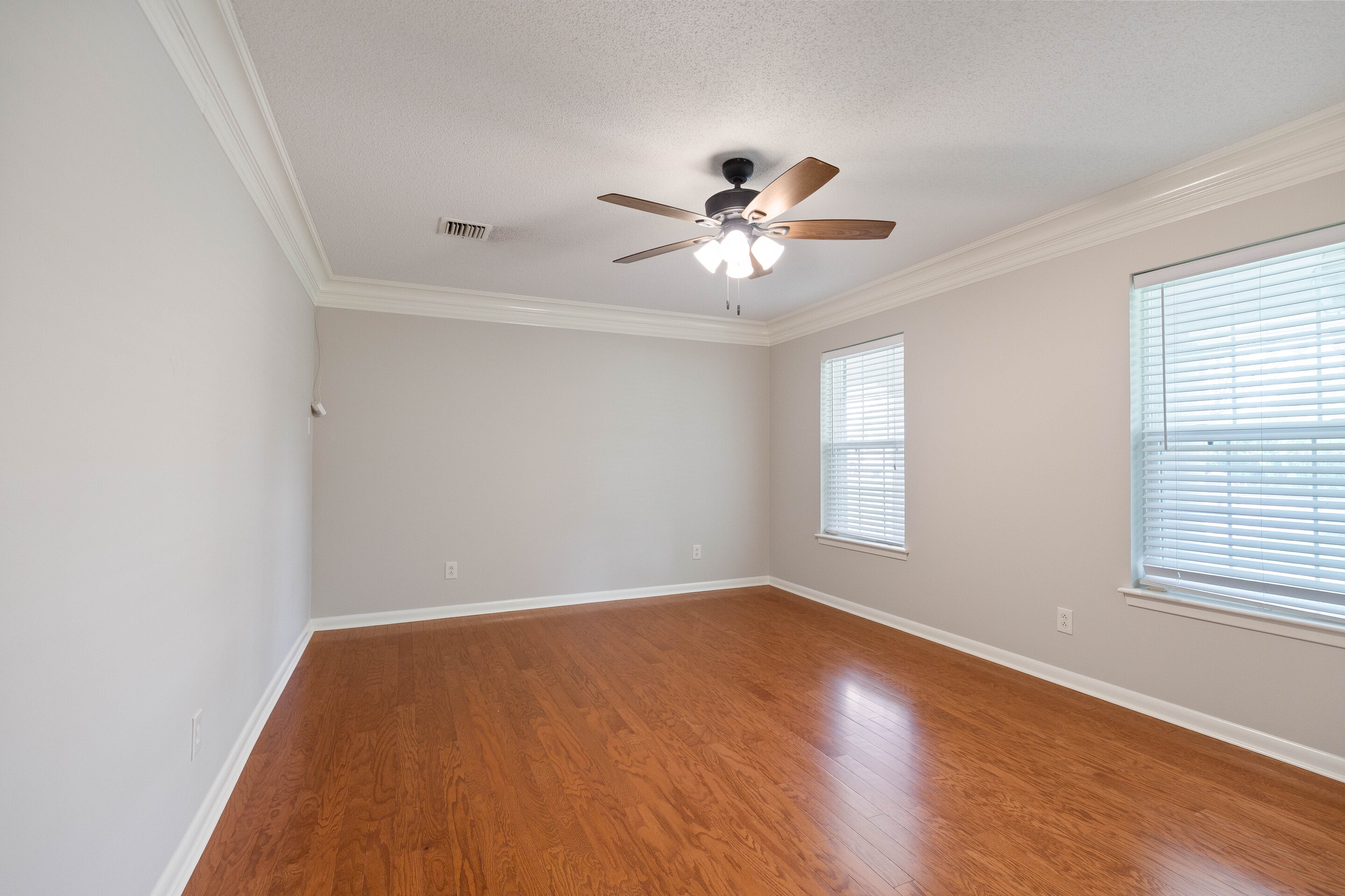 Gallery Photo 18