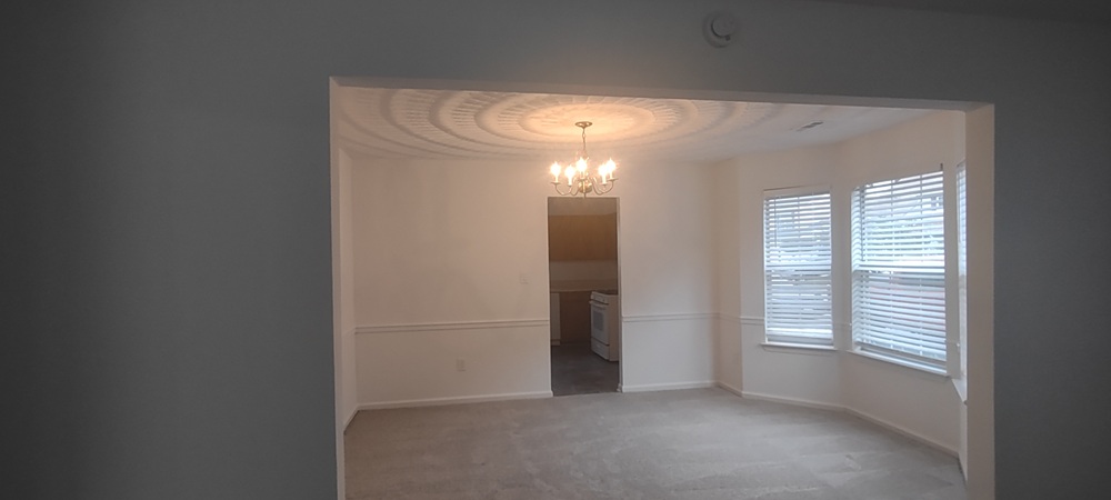 Gallery Photo 3