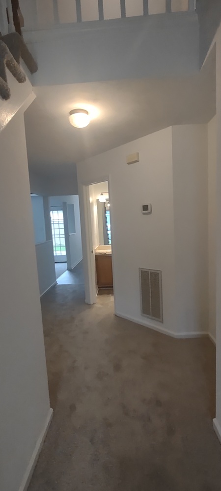 Gallery Photo 10