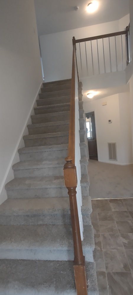 Gallery Photo 12