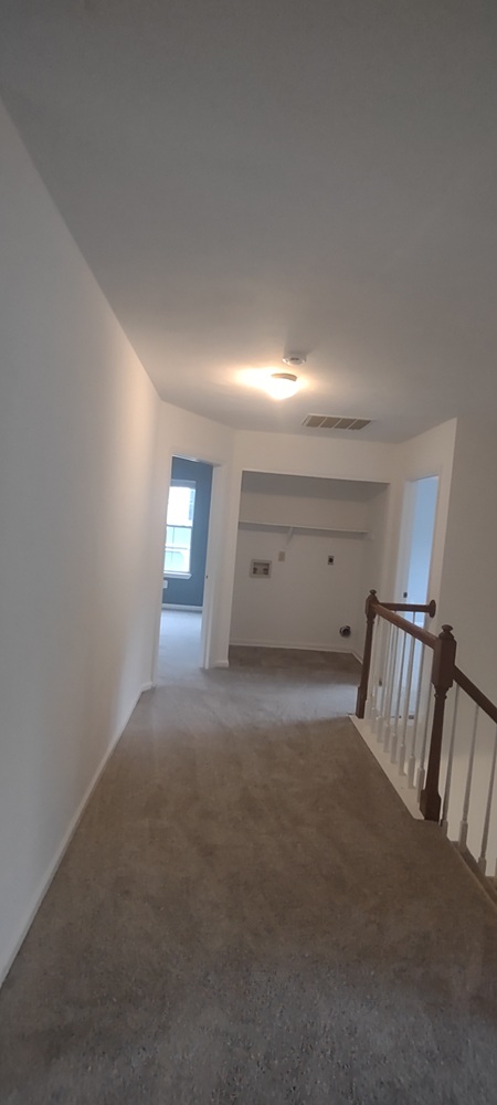 Gallery Photo 13