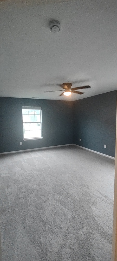 Gallery Photo 16