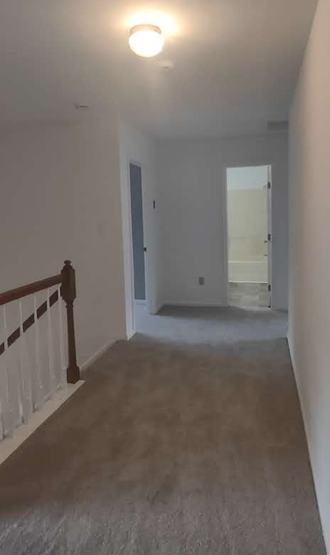 Gallery Photo 23